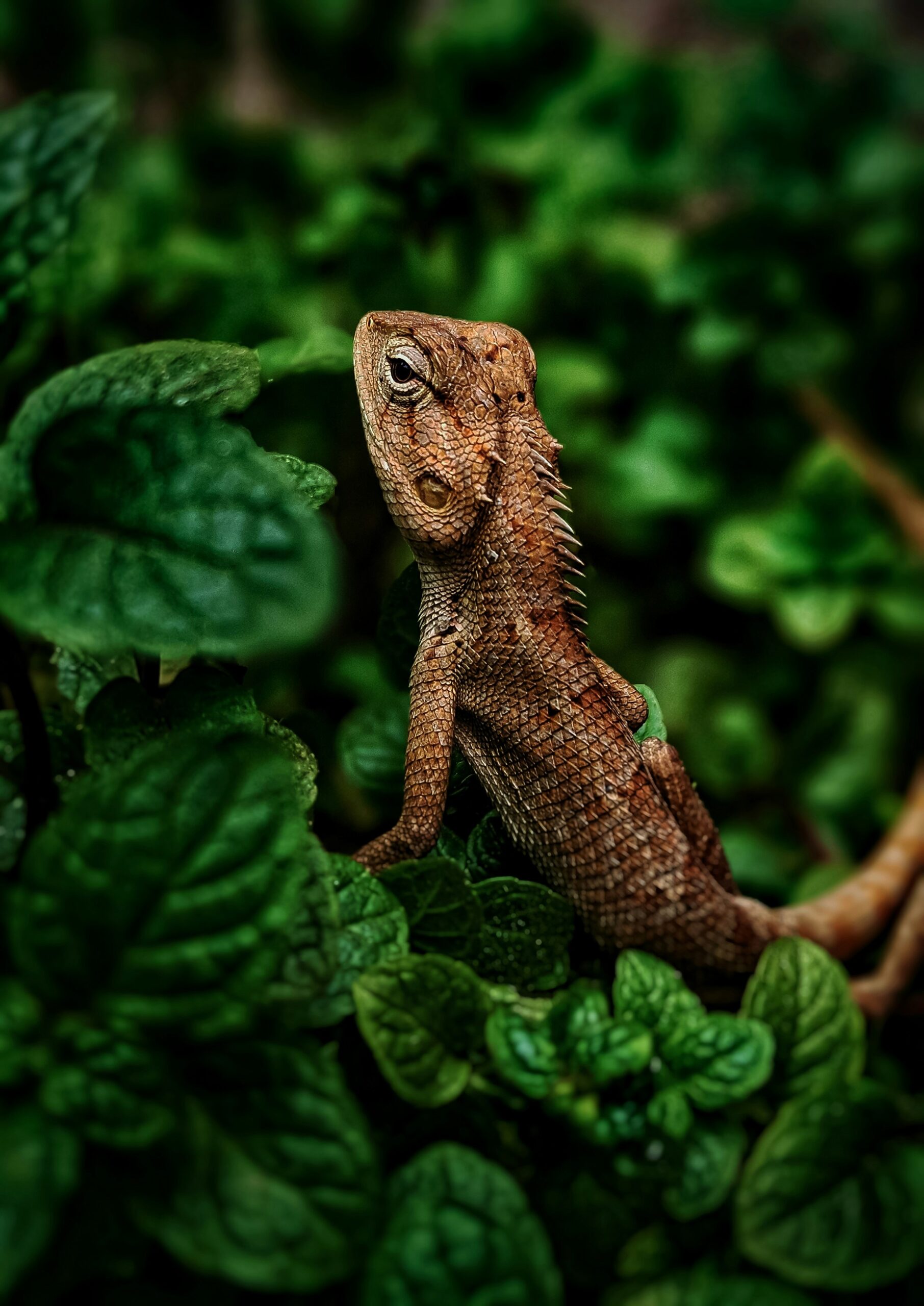 Hello world!